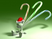 Acupunture Canes