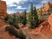 Bryce Canyon National Park Wallpaper