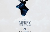 Christmas and New Year  iPhone