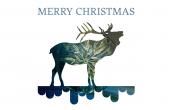 Christmas Reindeer