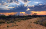 Crepuscular Sun Rays