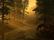 Deer Wallpaper