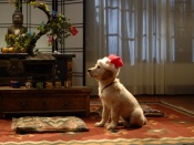 Disney Christmas Wallpaper - Santa Paws