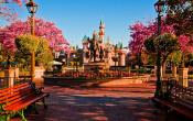 Disneyland Hub