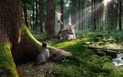 Fantasy Forest
