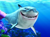 Finding Nemo - Bruce