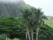Hawaii Wallpaper