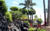 Hilton Hawaiian Village Grounds