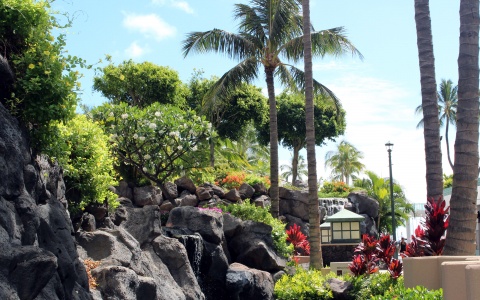 Hilton Hawaiian Village Grounds (click to view)