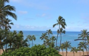 Hilton Hawaiian Village Rainbow Tower View