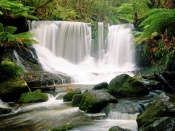 Horseshoe Falls Wallpaper