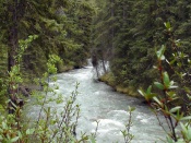Johnston Canyon - Banff National Park