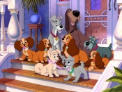 Lady & the Tramp 2 Wallpaper