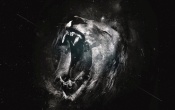 Lion Art