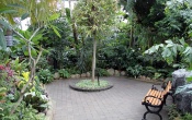 Muttart Conservatory