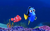Nemo, Marlin and Dory - Disney Wallpaper