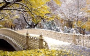 New York Central Park