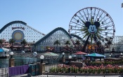 Paradise Pier Wallpaper