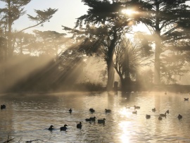 Rays of Sun (click to view)