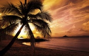 Sunset Beach Wallpaper
