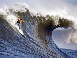 Surfing Wallpaper (click to view)