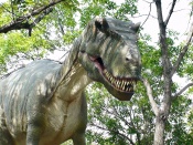 Tyrannosaurus Rex Wallpaper