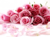 Valentines Day Roses Wallpaper