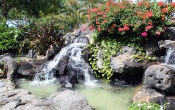 Waikiki Falls Background