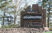 Welcome to Deadmonton