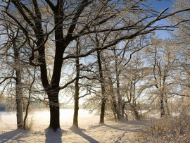Winter Scenery Wallpaper (click to view)