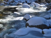 Winter Stream Wallpaper