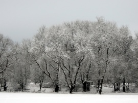 Winter Wallpaper (click to view)