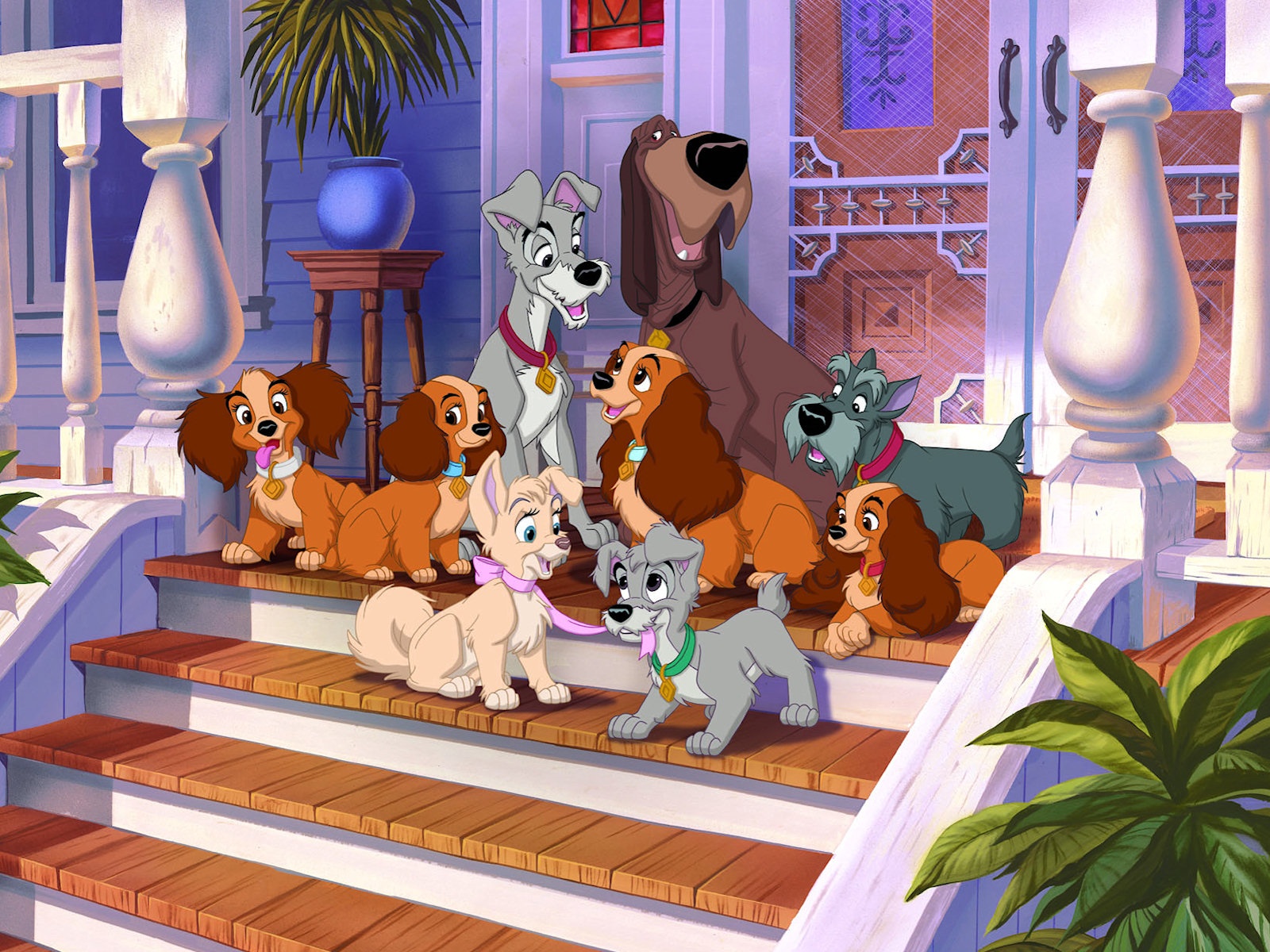 Lady & the Tramp 2 Wallpaper