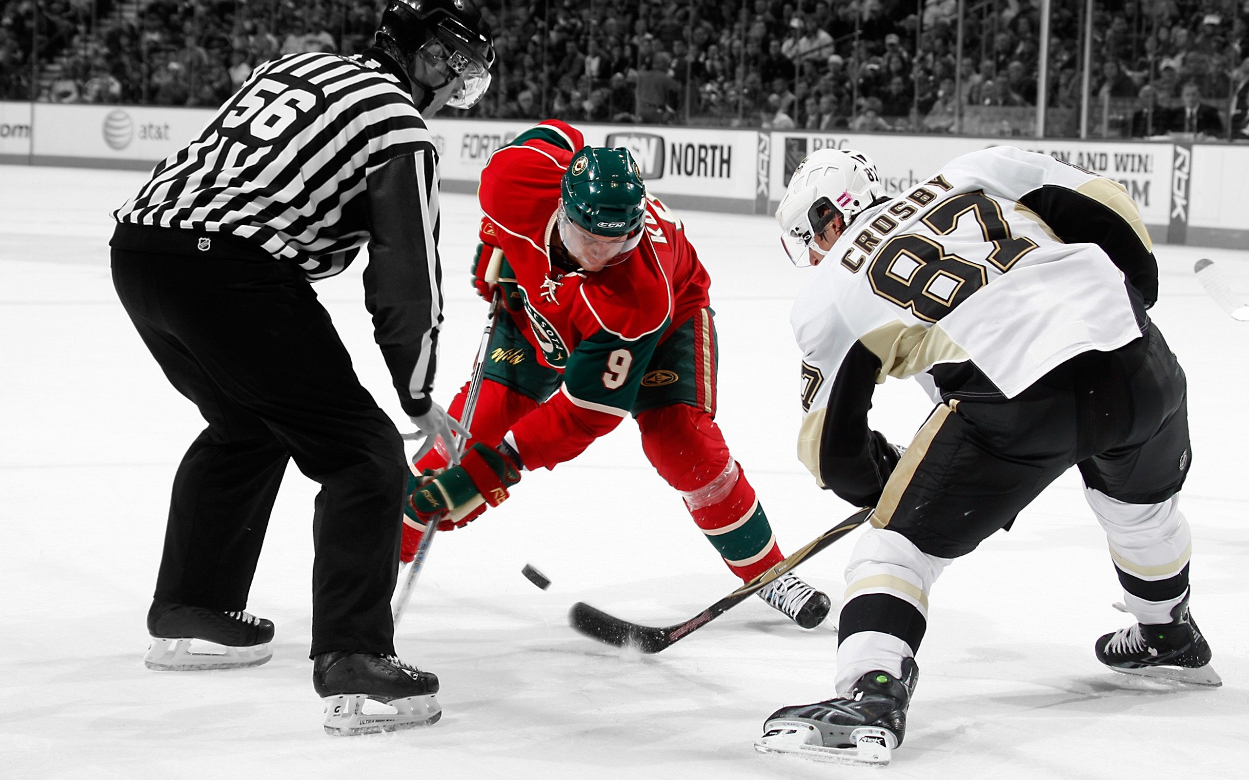 NHL Hockey - Crosby Wallpaper
